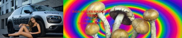 шишки Баксан