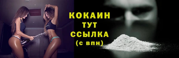 шишки Баксан
