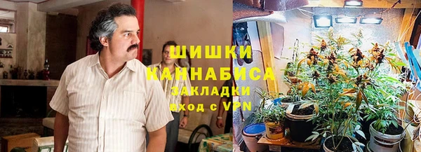 шишки Баксан