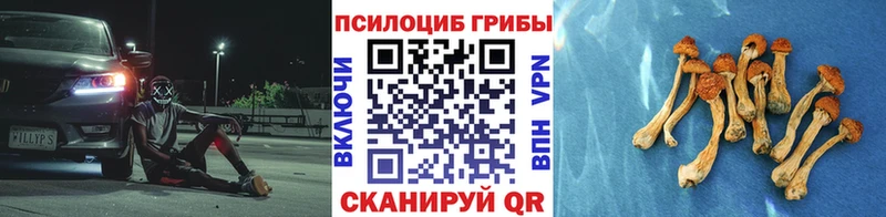 Галлюциногенные грибы MAGIC MUSHROOMS  ОМГ ОМГ рабочий сайт  Лыткарино 